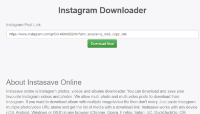 Save Instagram Story with music using Instasave Online