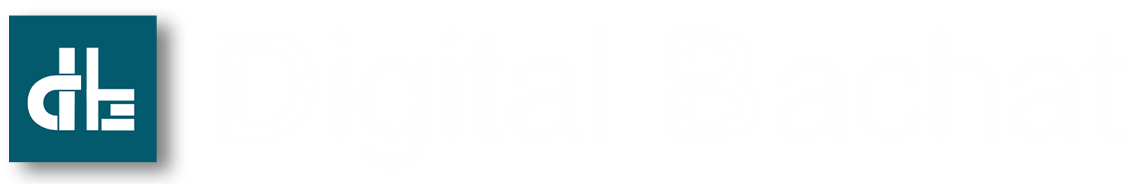 Digital Bachat logo